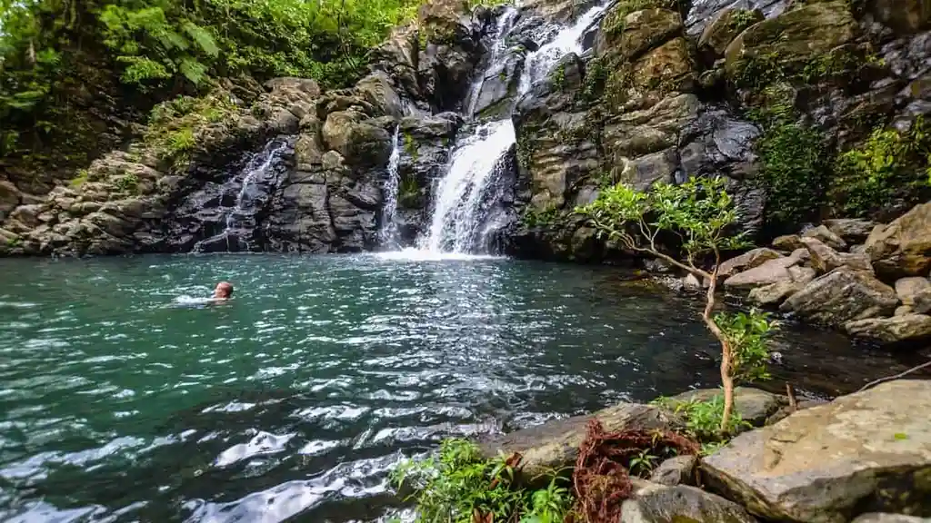 Fiji Travel Insurance A Must-Have for Peace of Mind